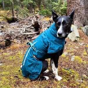 Nwot. Arcadia safety raincoat for small dog